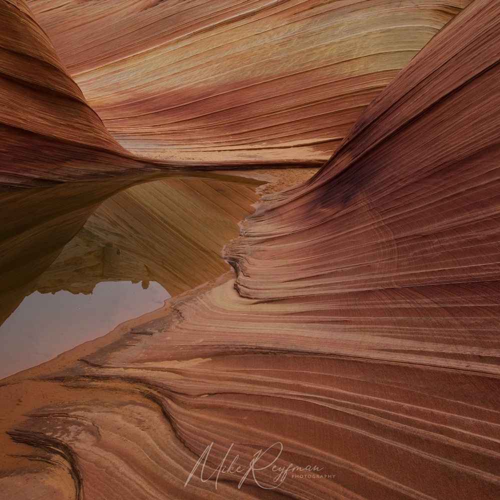 The Wave. Coyote Buttes North. Arizona