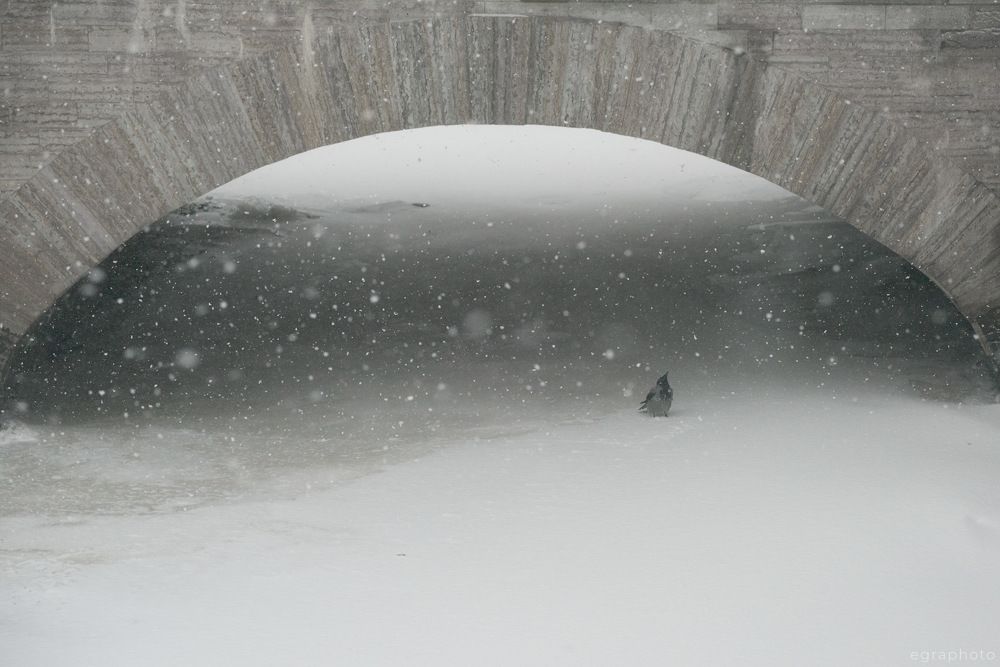 Метель в Петербурге