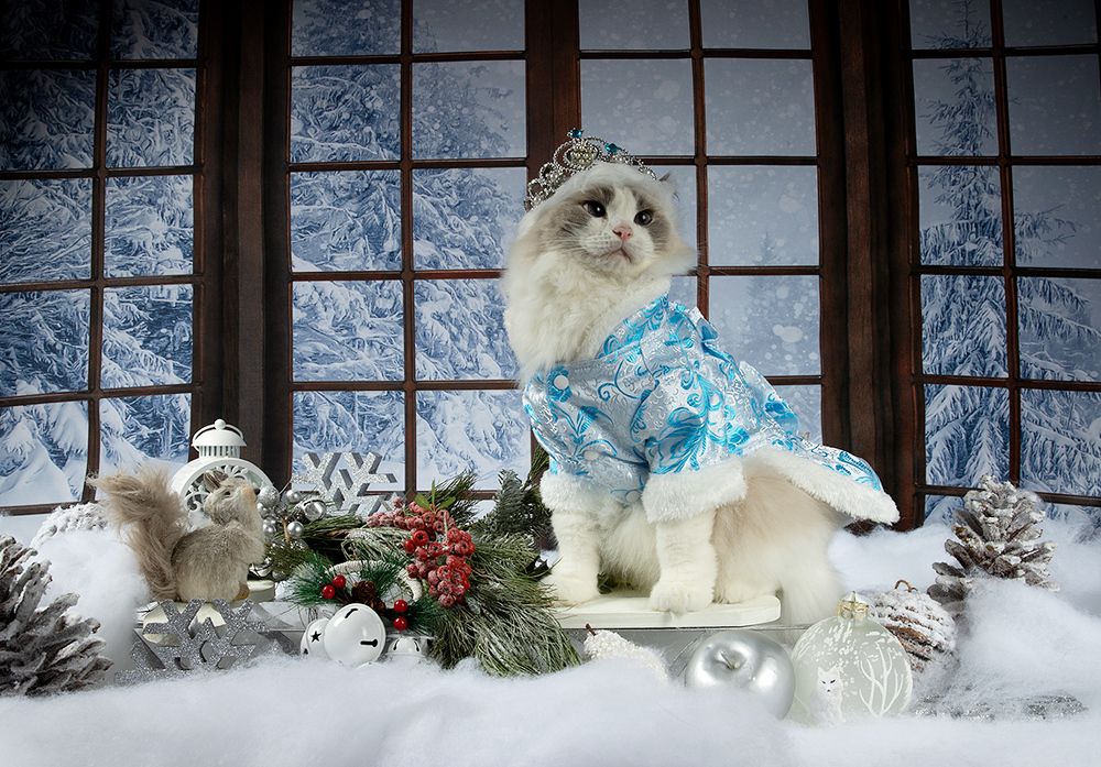 Матильда. Снегурочку - вызывали? Happy New Year!