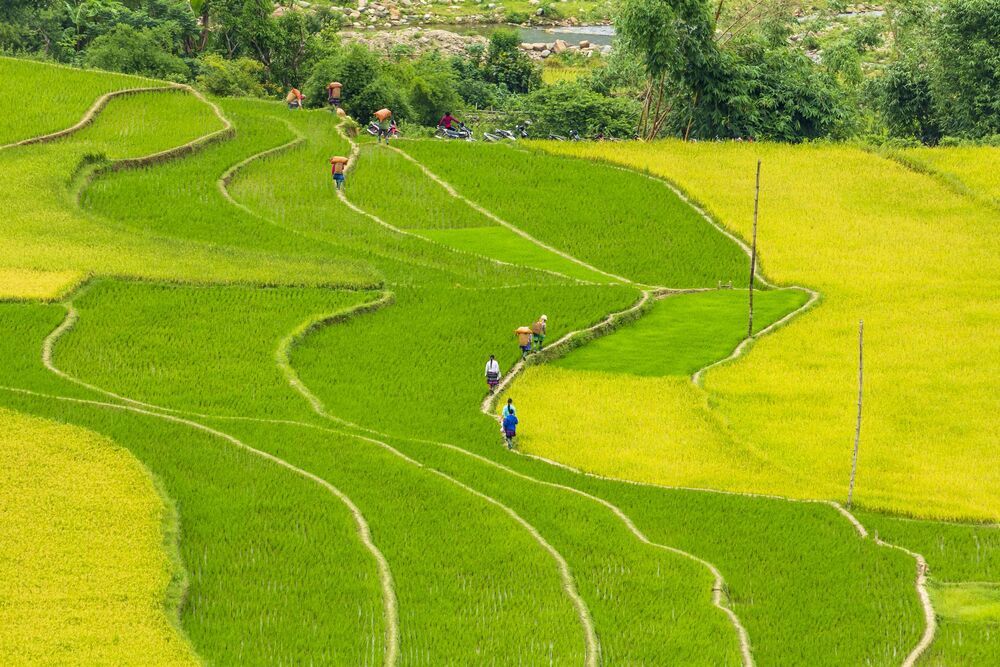 Landscape