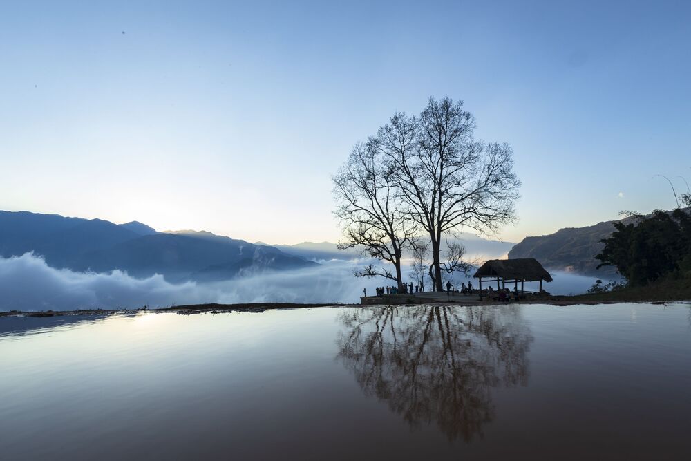 Landscape