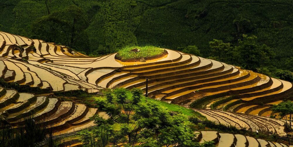 Landscape