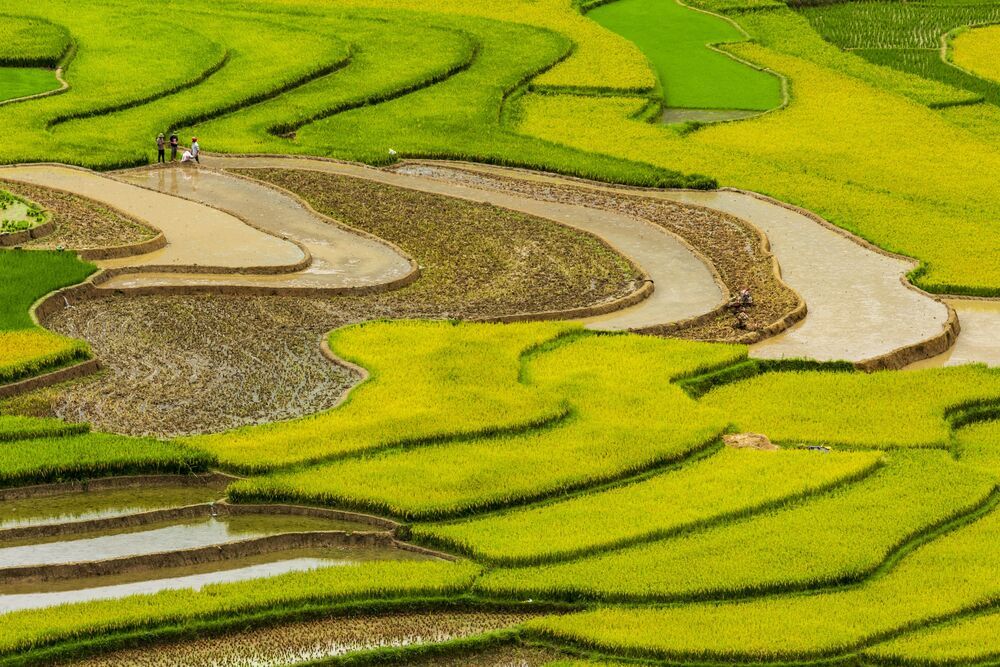 Landscape
