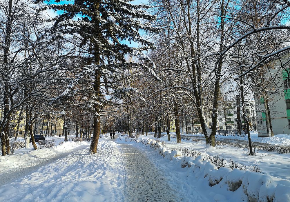 Зимние зарисовки или предновогодняя прогулка