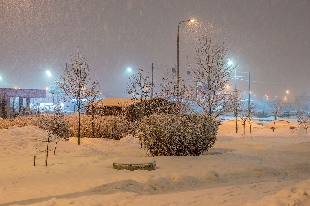 Утро было снежное