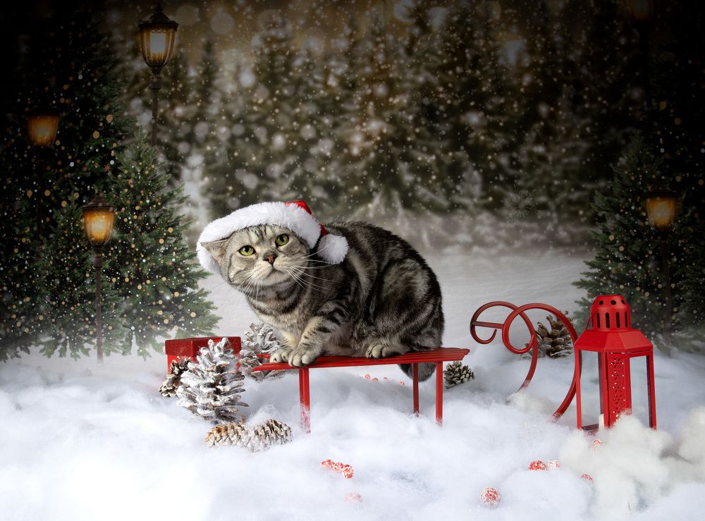 C Новым Годом! Happy New Year!