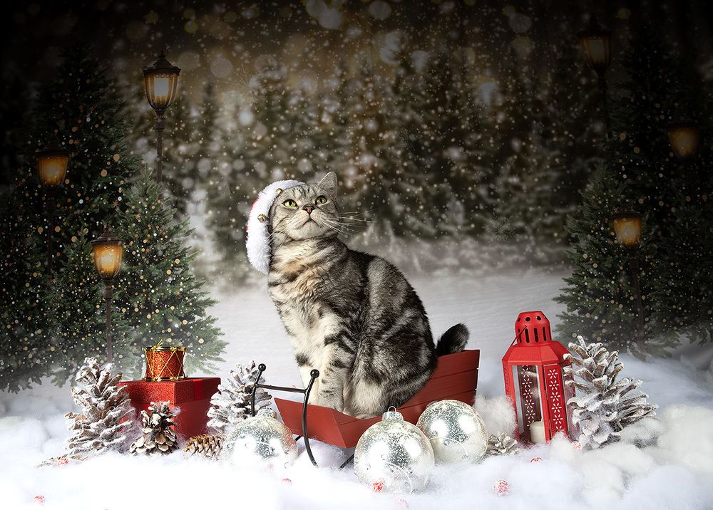 C Новым Годом! Happy New Year!