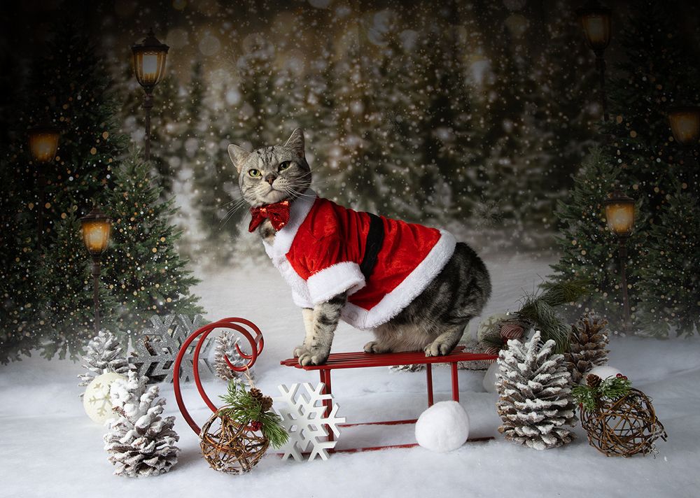 C Новым Годом! Happy New Year!