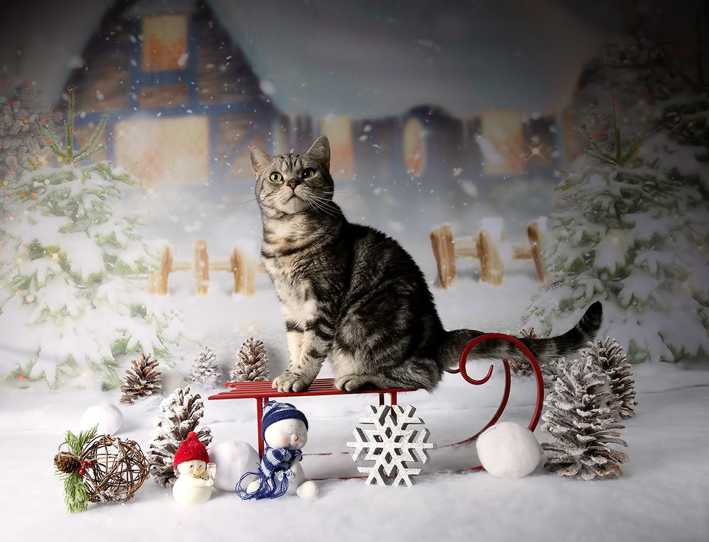 C Новым Годом! Happy New Year!
