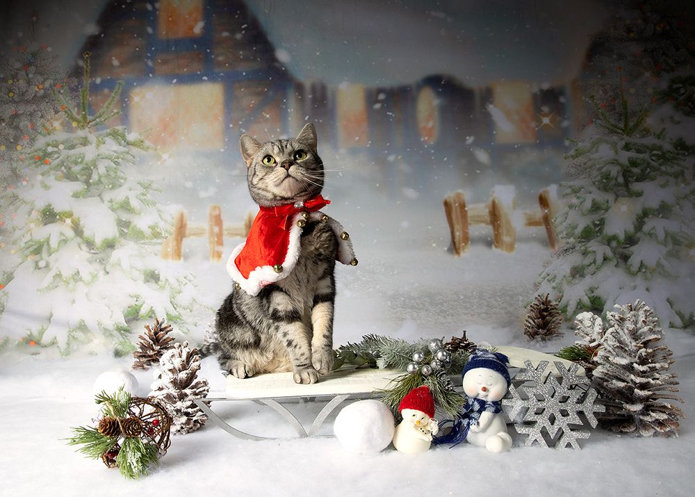 C Новым Годом! Happy New Year!