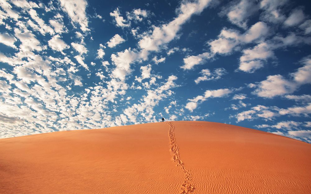 SAHARA DESERT *
