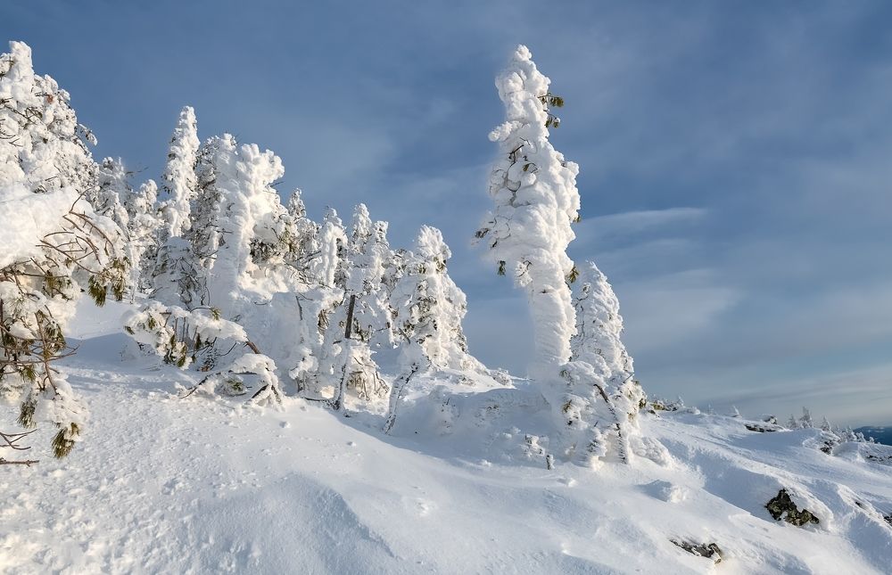Снежные парочки