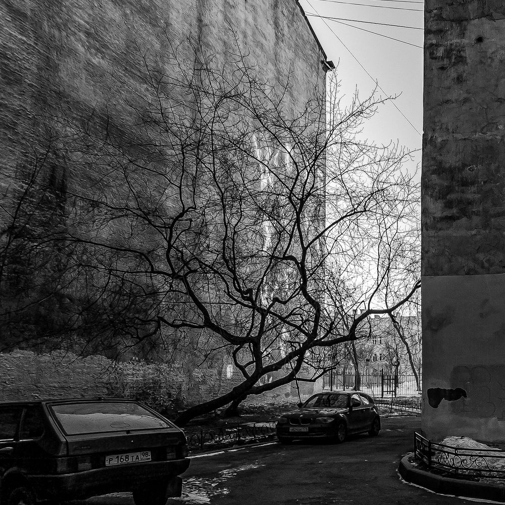 "когда ступеньки этой лестницы уходят из под ног, как палуба,"