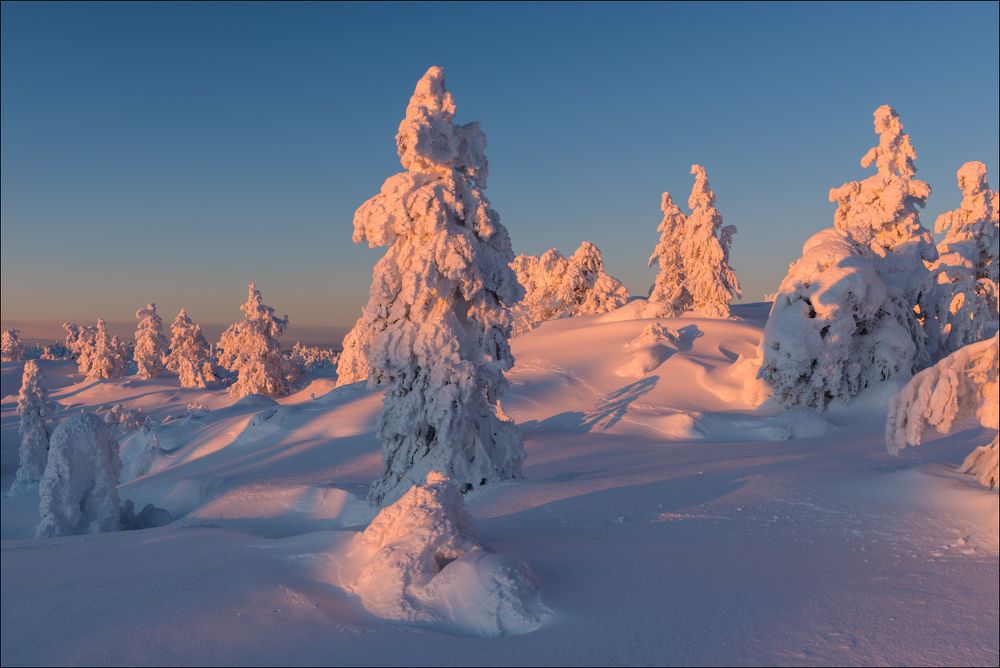 Свет всё краснее