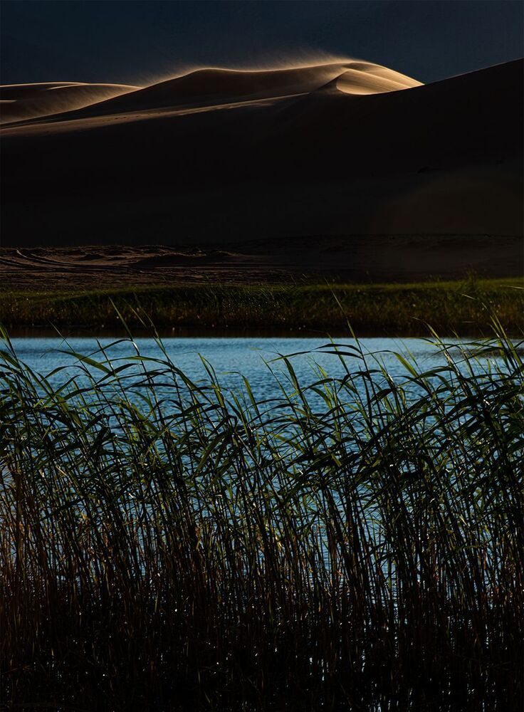 Photo 2313572