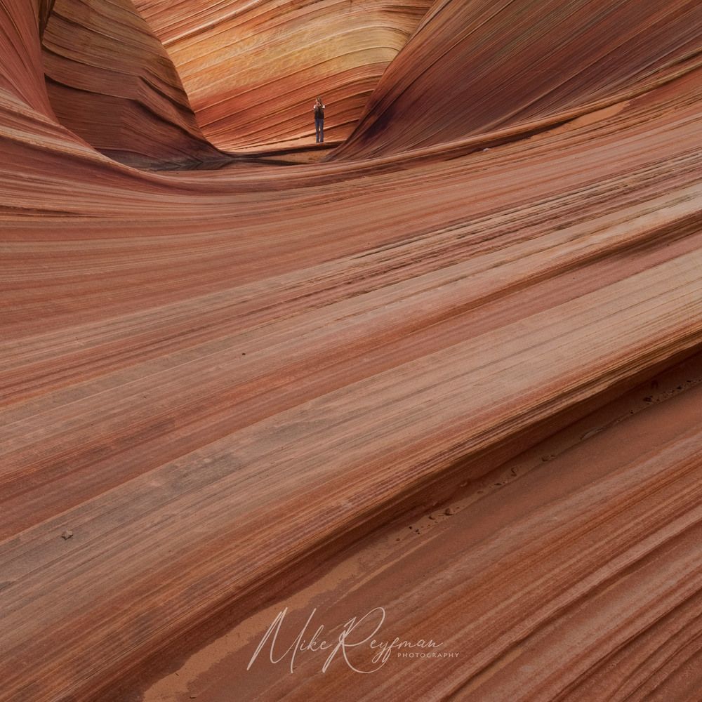 The Wave