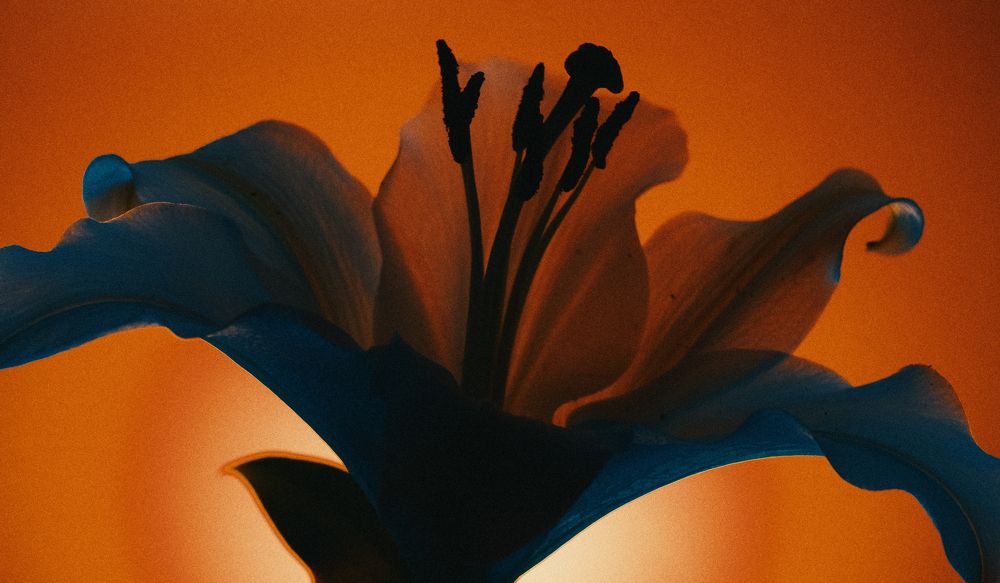 Glow