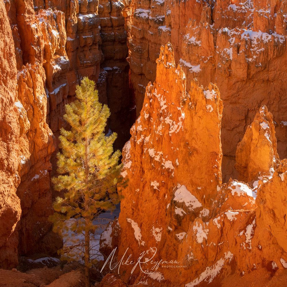 Bryce Canyon in Winter