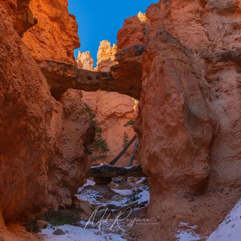 Bryce Canyon in Winter