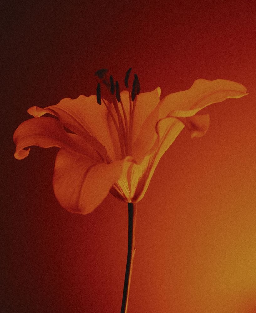Glow