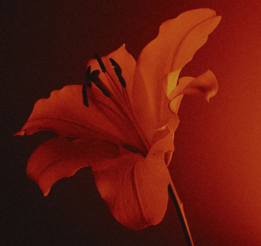 Glow