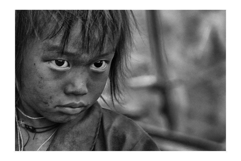 Rice&Icon of Vietnam