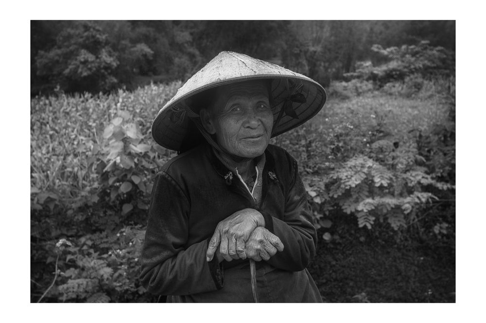 Rice&Icon of Vietnam