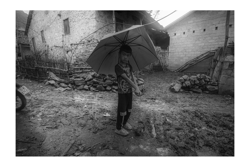 Rice&Icon of Vietnam