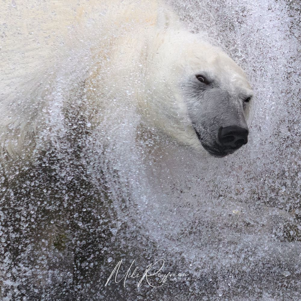 Svalbard-Spitsbergen. Лето за Полярным Кругом