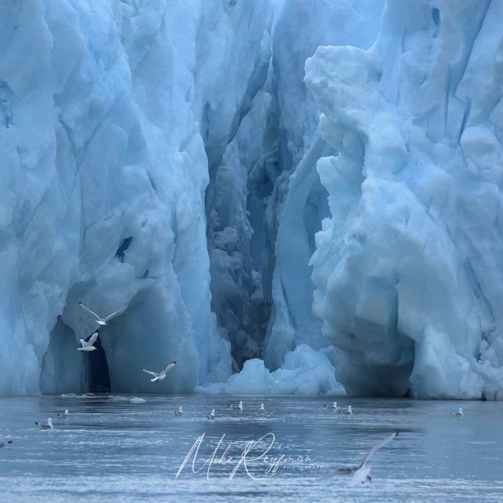 Svalbard-Spitsbergen. Лето за Полярным Кругом