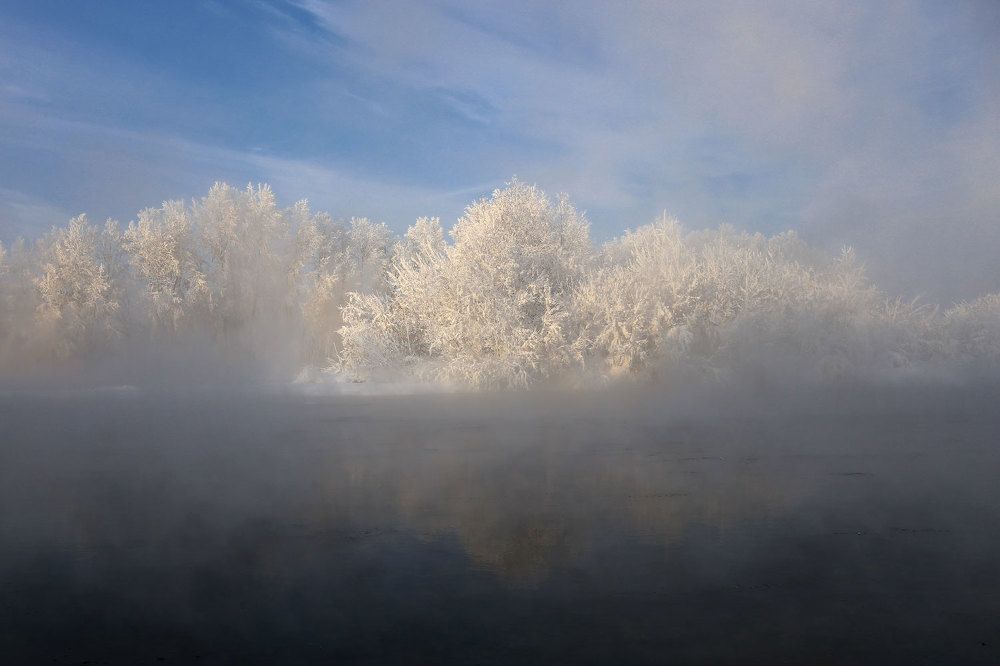 В морозном тумане