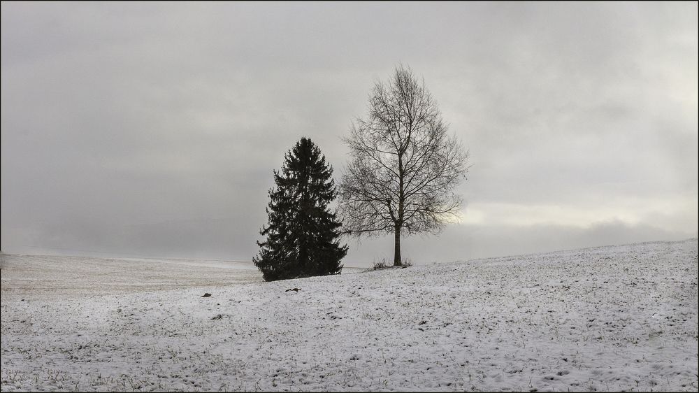January