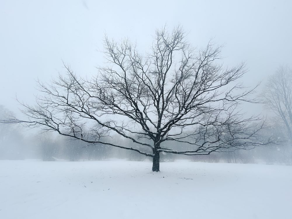Photo 2321520
