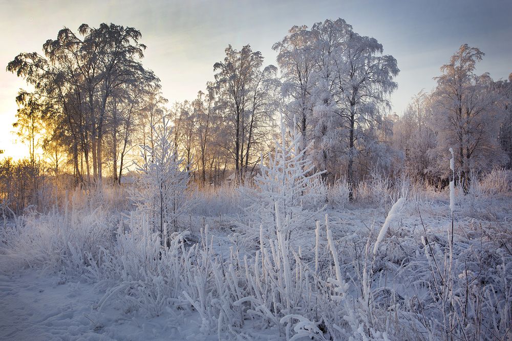 Photo 2322153