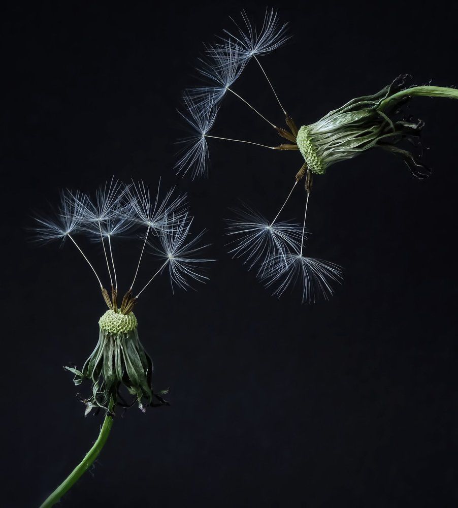 Photo 2323681