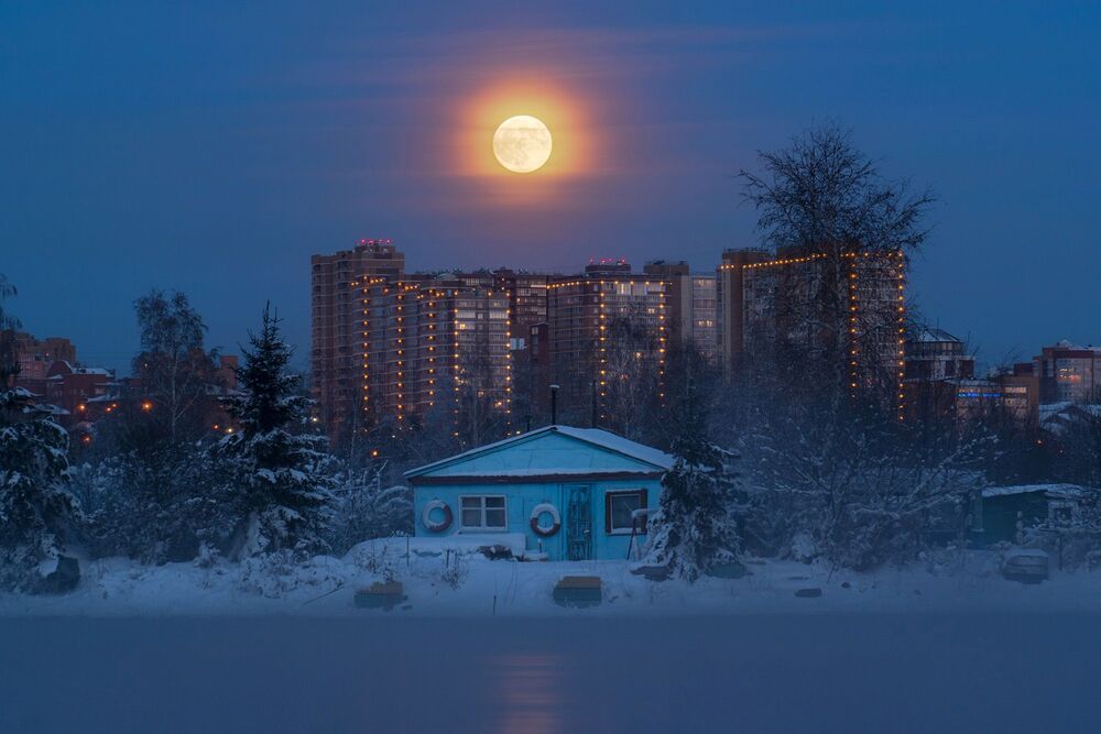 Портфолио