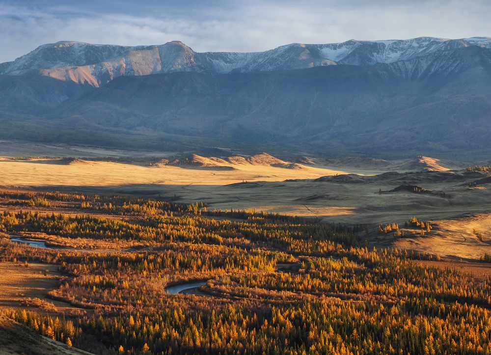 Курайская степь