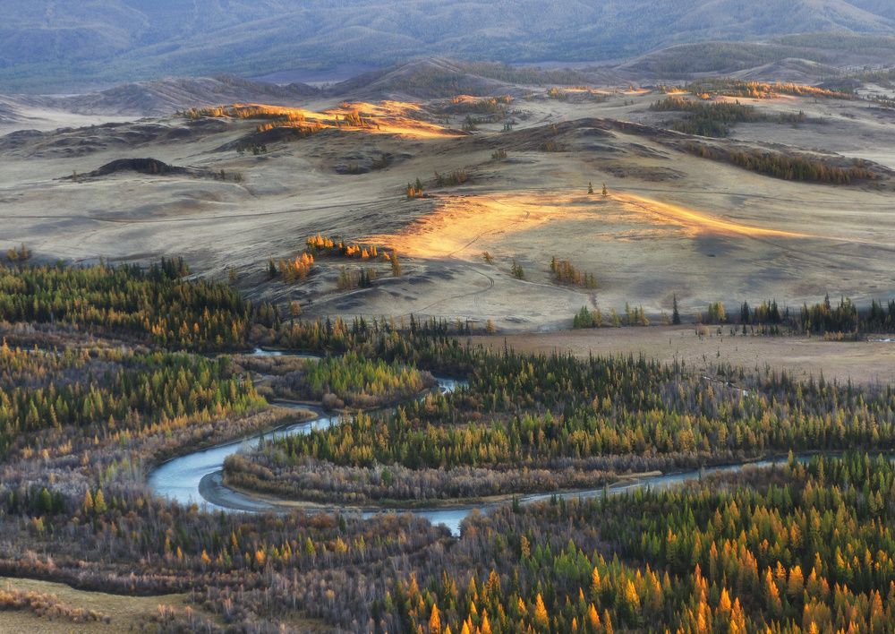 Курайская степь