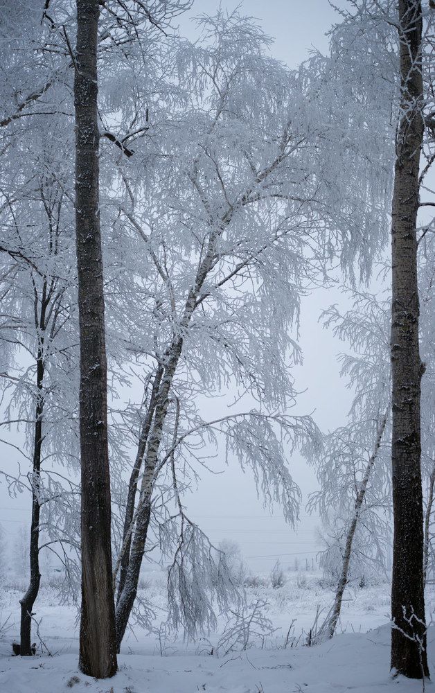 Зимние зарисовки