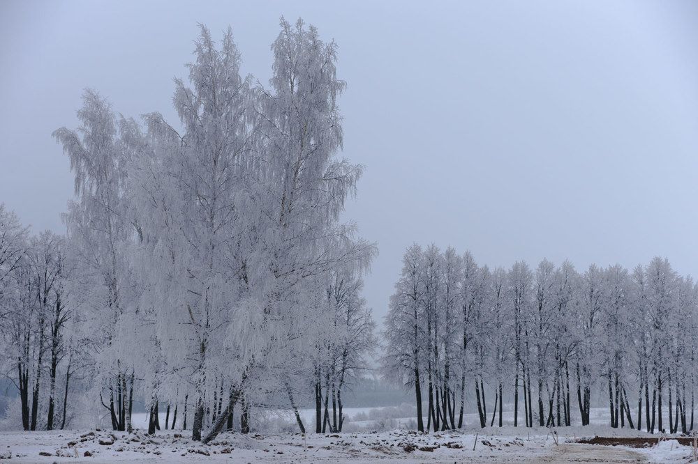 Зимние зарисовки