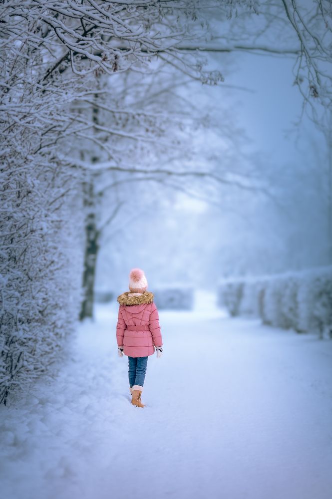 The Snow Queen