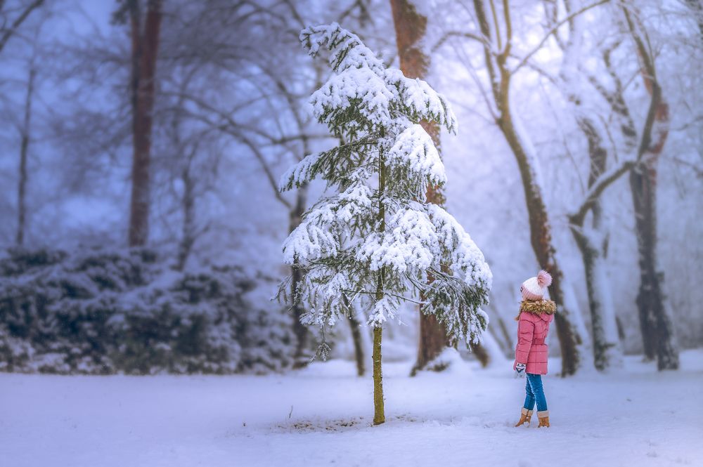 The Snow Queen