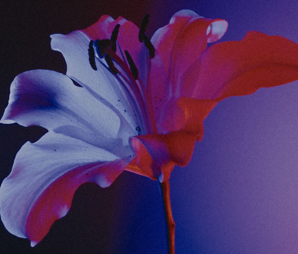 Glow