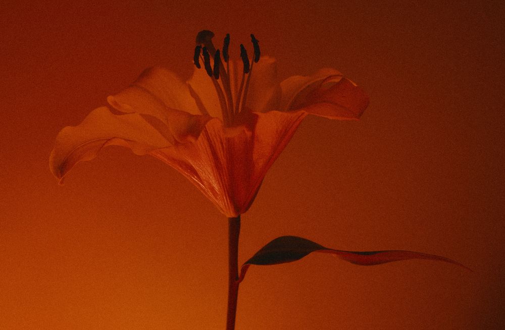 Glow