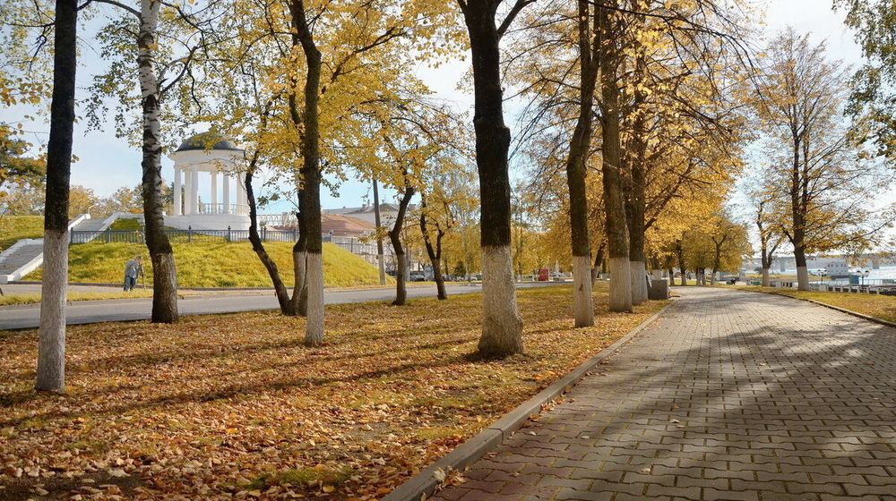 Золотая Кострома....