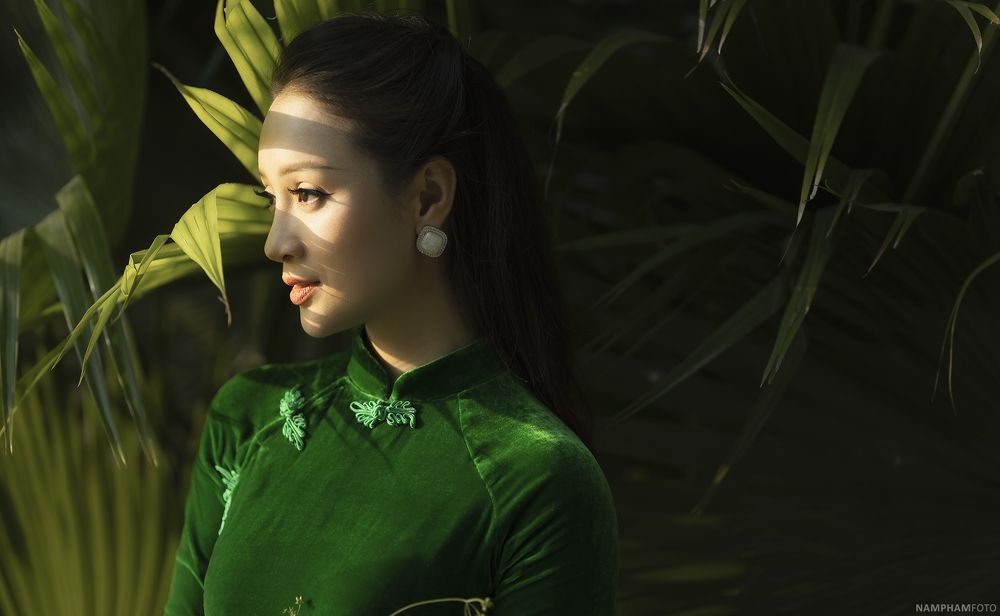 Vietnamese lady