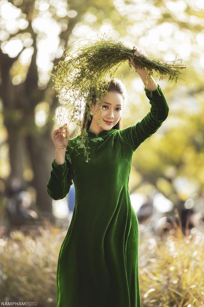 Vietnamese lady