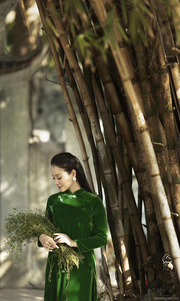 Vietnamese lady