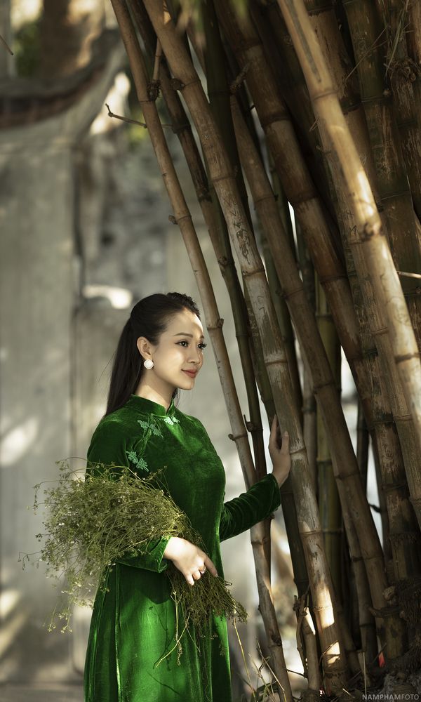 Vietnamese lady