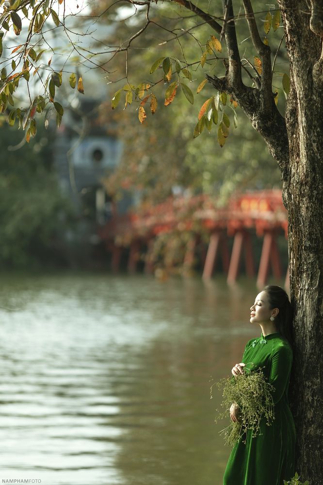 Vietnamese lady